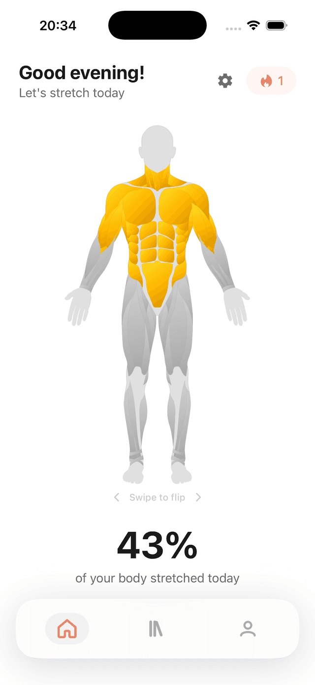 Limbr — interactive body map showing stretching progress